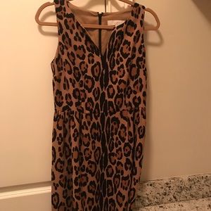 Leopard print a line!